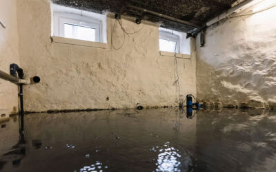 Cause of Basement Water Intrusion in Macon, GA