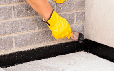 Exterior Waterproofing or Interior Repairs?