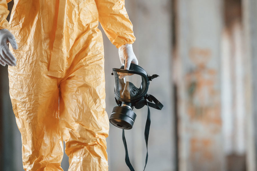 mold cleaning and removal dig um up