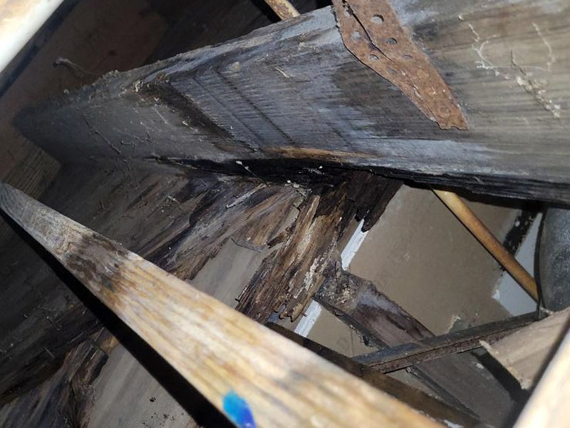 water damage wood repair and replace dig um up